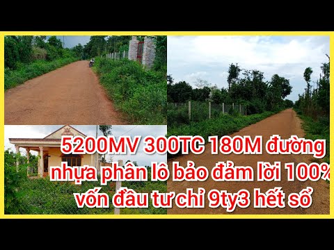 Bán đất nền bà Rịa vũng tàu - chủ kẹt cứng cần bán gấp lô đất 2MT 300tc phân lô bao lời giá rẻ nhất