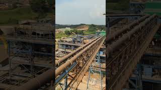 In Side The Plant View