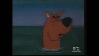 Scooby Doo Where Are You Cartoon Network Screenbug 2008 With Johnny Test On It?