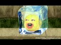 realannoyingorange