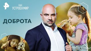 Доброта — Как Устроен Мир С Тимофеем Баженовым | Рен Тв