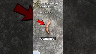 He Found The Crunchiest Leaf Ever