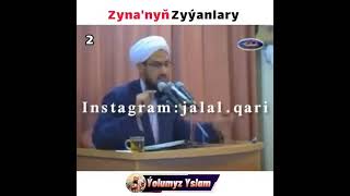 Jelal Kary - Zynanyn Zyyanlary