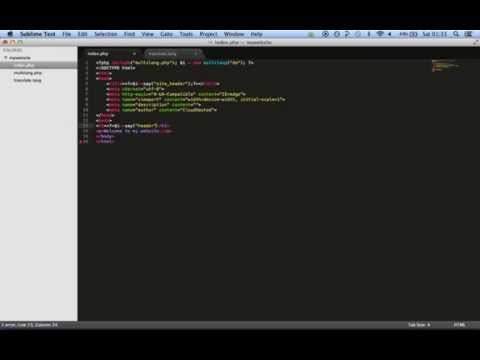 Multilang Demo: Simple Translation Multilang Demo: Simple Translation