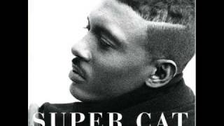Watch Super Cat Every Nigger Is A Star video