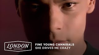 Watch Fine Young Cannibals She Drives Me Crazy video