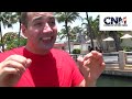 Sharks + Barracudas (I think) & Fish swimming in 1080P HD !!