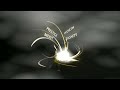 Starcraft II - Tutorials Revamped - Zerg Part 1