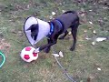 Cone Head images Cone Head