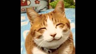 Watch Michael Buble When Youre Smiling video