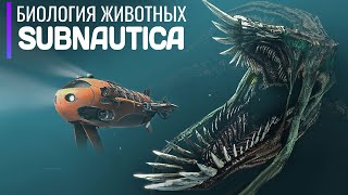 Биология Экосистемы Subnautica. От Мелких Рыбок До Титанов-Левиафанов