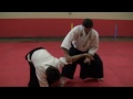 Ogawa Ryu Aikijujutsu November Training in Brazil II