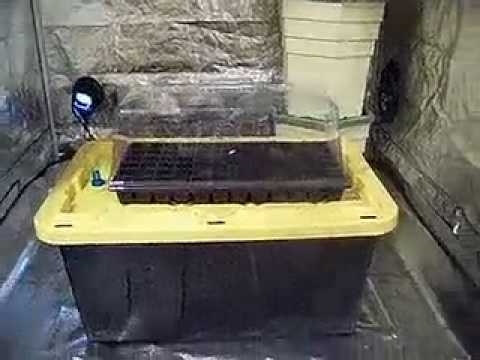 How to build a Flood Drain Eb Flow Hydroponic System for Under $50 ...