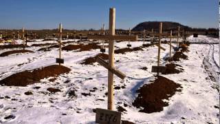 кладбище ополченцев в Донецке