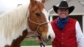Horses of Hope
