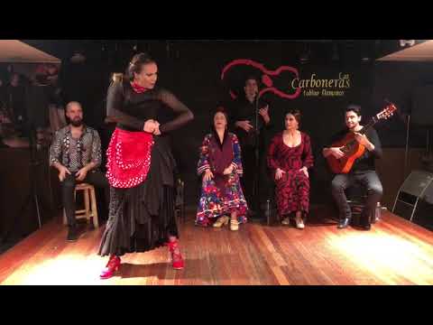 Tablao Las Carboneras: Claudia Cruz por seguiriya