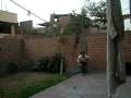 Fefa en patio