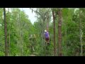 Eco Tours In Kissimmee Florida