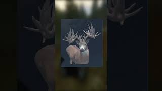 Potential New Call Of The Wild Map Location?