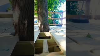 Building A Treehouse
