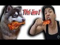 NTN - Thử Thách Thi Ăn Với Gấu Alaska (Eating with an Alaska dog competition)
