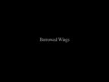 Borrowed Wings
