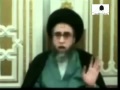 اضحك مع فتوى شيعية عن الأرانب !!