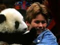 Now! The Amazing Panda Adventure (1995)
