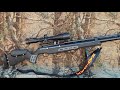 .25 cal airgun