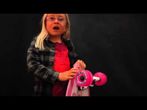 Santa Cruz: Hibiscus Shark with Lilly