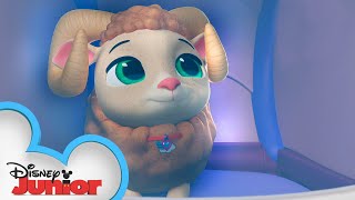 Ram-Bunctious Baby | T.O.T.S. | @Disney Junior