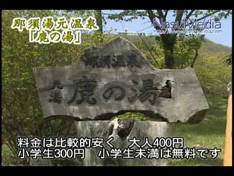 那須湯本温泉「鹿の湯」　－　那須を動画で紹介【那須メディア】