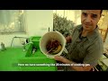 Homebiogas systems by Ecogas Israel