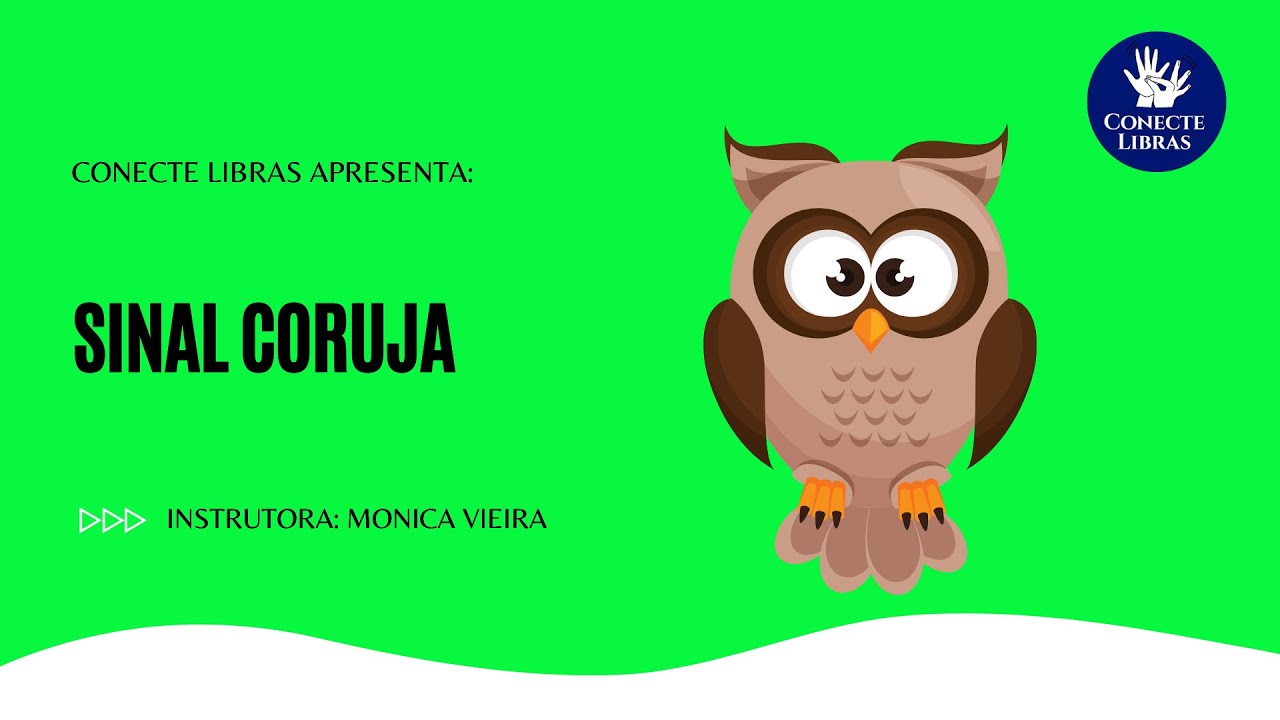 VOCABULÁRIO: Animais - Prof° Monica Vieira