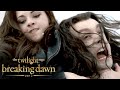 'Bella & Edward Kill Aro' Scene | The Twilight Saga: Breaking Dawn - Part 2