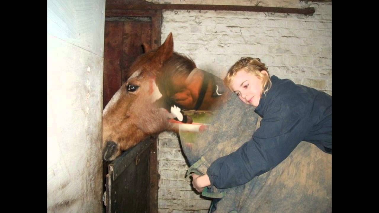 Секс С Конем Домашнее Видео