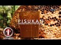 I-Witness: 'Pisukan,' dokumentaryo ni Atom Araullo | Full Episode