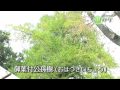 水戸八幡宮 - 地域情報動画サイト　街ログ