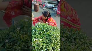 Laxmipuja Special Korcen Boudimoni