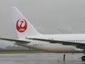 JAL新鶴丸ロゴ機お披露目=モチーフのタンチョウが生息する釧路へ
