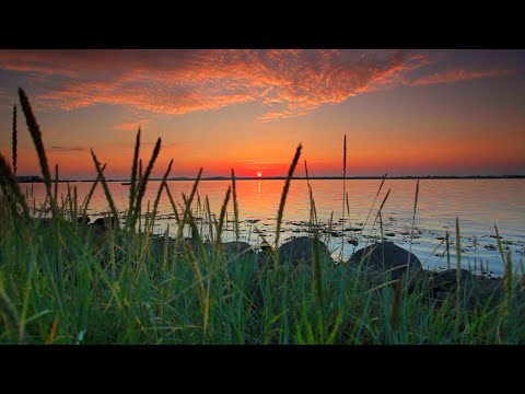 🔴 Relaxing Piano Music 24/7, Beautiful Relaxing Music, Sleep Music, Meditation Music, Study Music