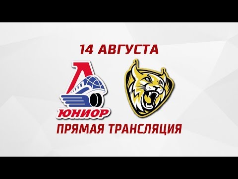 Контрольный матч: «Локо-Юниор» - «Металлург»