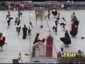 DANZAS SELVATICAS