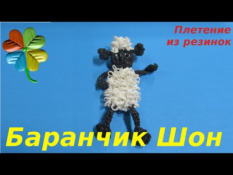 С какими органами связан нос и С какими органами связан нос и