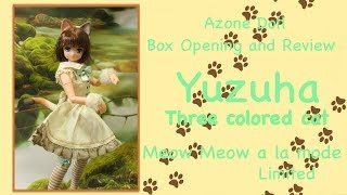 Doll Box Opening and Review: Yuzuha Meow Meow Limited ver. part 1