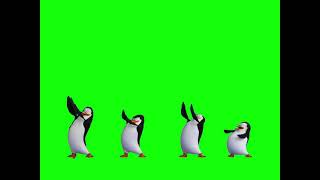 [Greenscreen] Dancing Penguins of Madagascar