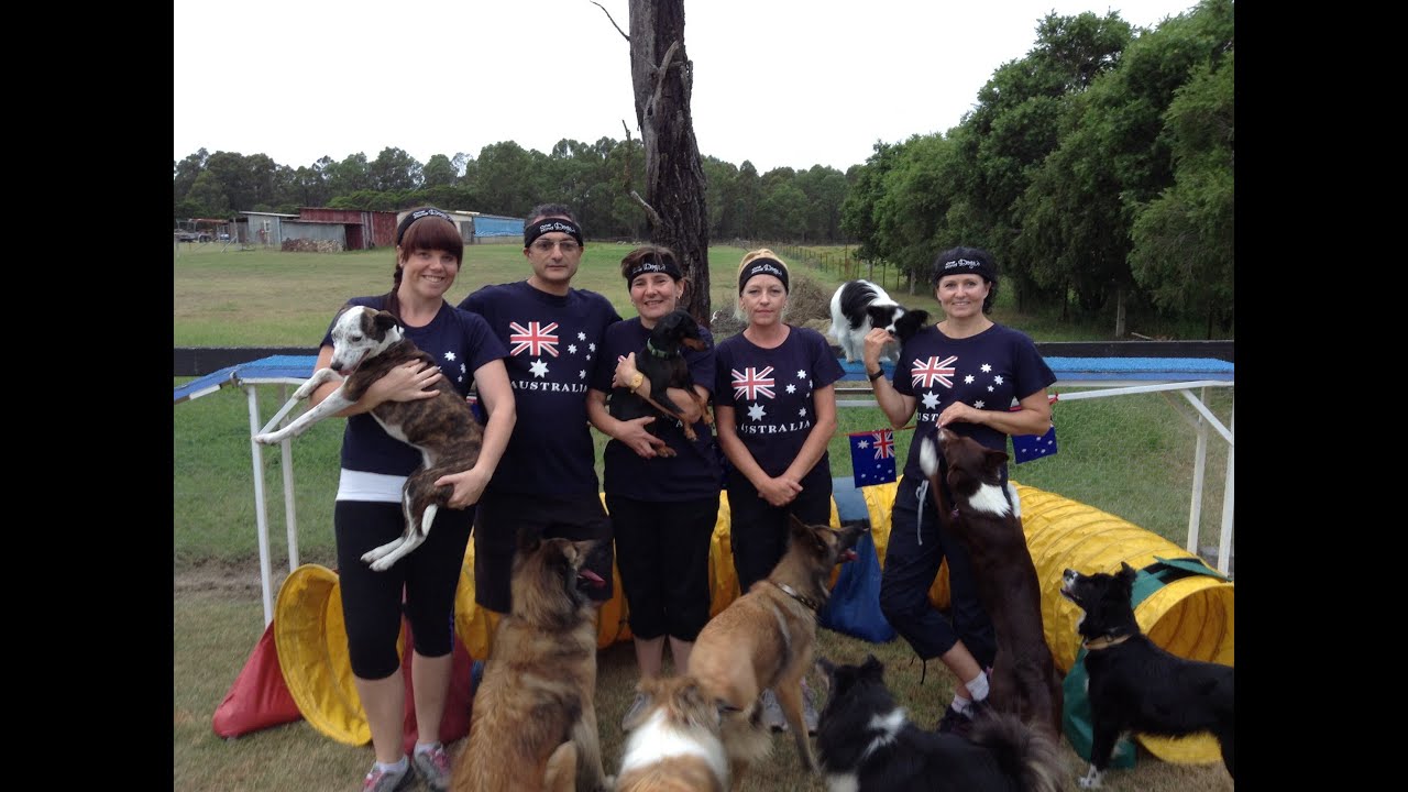 one mind dogs onemind dogs challenge 2 the aussie way one mind dogs onemind dogs challenge 2 the aussie way