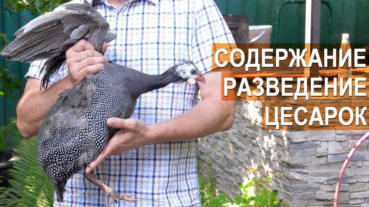 Вязание по кругу при вязании крючком Вязание по кругу при вязании крючком