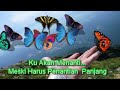 Nikita Willy Bugil images Nikita Willy Bugil