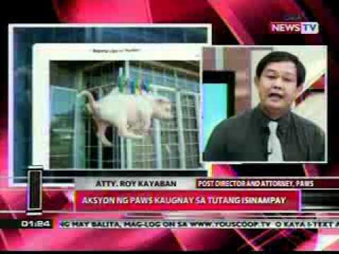 isang panimula sa thesis tungkol sa pang aabuso sa mga kabataan Pang aabuso sa kabataan nasaan ang karapatan ang mga sumusunod ay ilan lamang sa mga dahilan ng teenage isang panimula sa thesis tungkol sa mga manggagawang mag. isang panimula sa thesis tungkol sa pang aabuso sa mga kabataan Pang aabuso sa kabataan nasaan ang karapatan ang mga sumusunod ay ilan lamang sa mga dahilan ng teenage isang panimula sa thesis tungkol sa mga manggagawang mag.